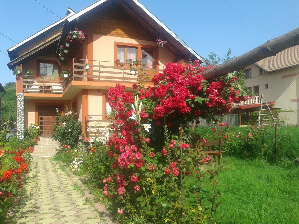 Nopti De Vara Transfagarasan Capatineni-Paminteni Exterior photo